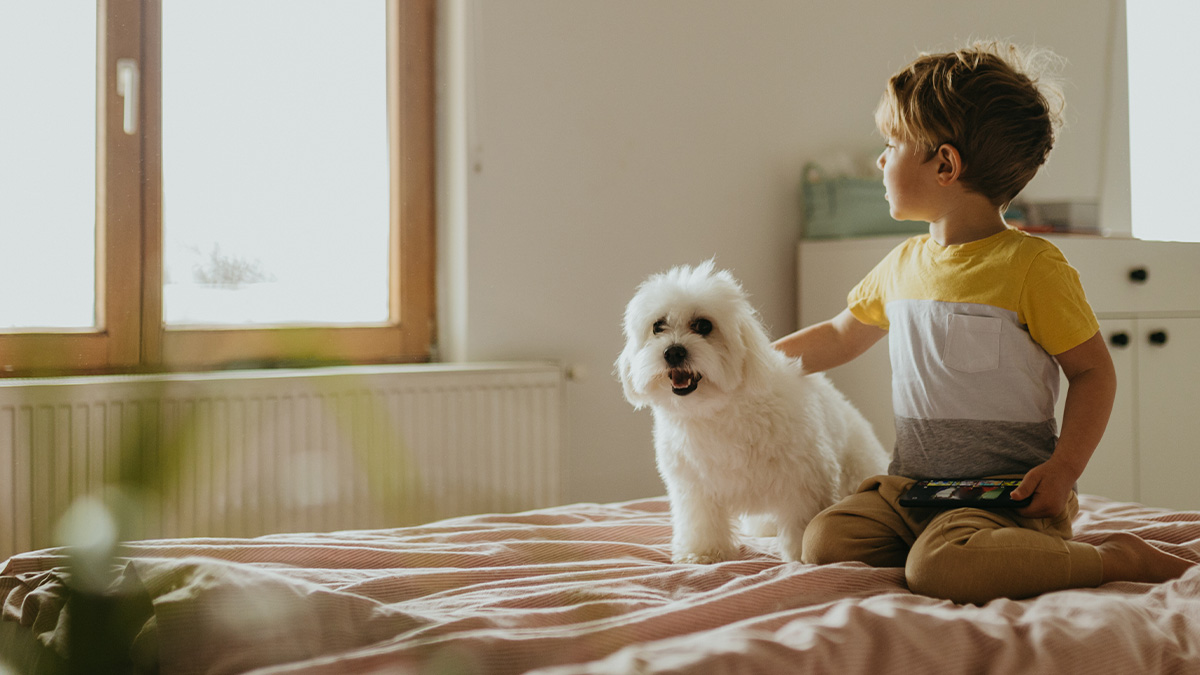 How to donate a mattress