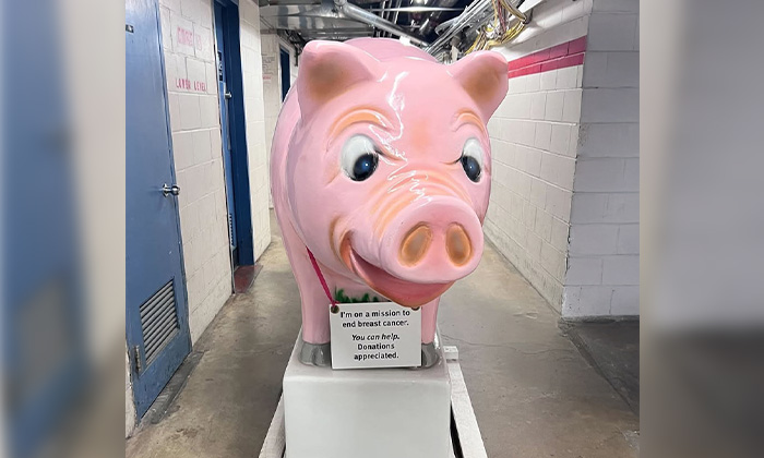 A 300lb piggy bank on display